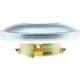 Purchase Top-Quality Fuel Cap by MOTORAD - MGC702 pa15