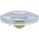 Purchase Top-Quality Fuel Cap by MOTORAD - MGC704 pa4