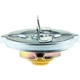 Purchase Top-Quality Fuel Cap by MOTORAD - MGC806 pa4