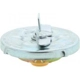 Purchase Top-Quality Fuel Cap by MOTORAD - MGC810 pa16