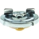 Purchase Top-Quality Fuel Cap by MOTORAD - MGC810 pa7