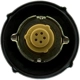 Purchase Top-Quality Fuel Cap by MOTORAD - MGC810 pa9