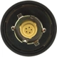 Purchase Top-Quality Fuel Cap by MOTORAD - MGC821 pa13