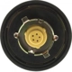 Purchase Top-Quality Fuel Cap by MOTORAD - MGC821 pa7
