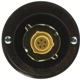 Purchase Top-Quality Fuel Cap by MOTORAD - MGC828 pa5