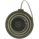 Purchase Top-Quality Fuel Cap by MOTORAD - MGC834T pa13