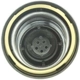 Purchase Top-Quality Fuel Cap by MOTORAD - MGC835 pa3