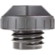 Purchase Top-Quality Fuel Cap by MOTORAD - MGC835 pa4