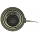Purchase Top-Quality Fuel Cap by MOTORAD - MGC845T pa14