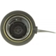 Purchase Top-Quality Fuel Cap by MOTORAD - MGC845T pa7