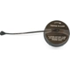 Purchase Top-Quality Fuel Door Hardware by MOPAR - 52030433AB pa3