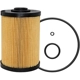Purchase Top-Quality Fuel Filter by BALDWIN - PF7982 pa1