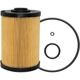 Purchase Top-Quality Fuel Filter by BALDWIN - PF7982 pa2