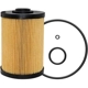 Purchase Top-Quality Fuel Filter by BALDWIN - PF7982 pa3
