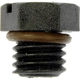 Purchase Top-Quality DORMAN (OE SOLUTIONS) - 904-112 - Fuel Filter Bleeder Screw pa7