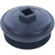 Purchase Top-Quality Fuel Filter Cap by MOTORAD - MO342 pa1