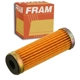 Purchase Top-Quality FRAM - CG3389 - Fuel Filter pa3