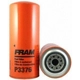 Purchase Top-Quality Filtre à carburant by FRAM - P3376 pa1