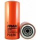 Purchase Top-Quality Filtre à carburant by FRAM - P3376 pa2