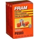 Purchase Top-Quality Fuel Filter by FRAM - P6503 pa7