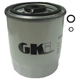 Purchase Top-Quality G.K. INDUSTRIES - GF503 - Filtre � carburant pa1