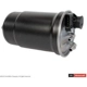 Purchase Top-Quality Filtre à carburant de MOTORCRAFT - FD4630 pa11