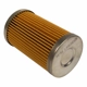 Purchase Top-Quality Fuel Filter by MOTORCRAFT - FG1A pa3