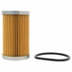 Purchase Top-Quality Fuel Filter by MOTORCRAFT - FG1A pa5
