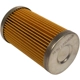Purchase Top-Quality Fuel Filter by MOTORCRAFT - FG1A pa7