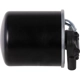 Purchase Top-Quality Filtre à carburant de PRONTO FILTERS - DF99601 pa5