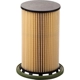 Purchase Top-Quality PUREZONE OIL & AIR FILTERS - 6WF10114 - Fuel Filter pa3