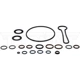Purchase Top-Quality Fuel Filter Seal Kit by DORMAN (OE SOLUTIONS) - 904-535 pa5