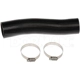 Purchase Top-Quality Fuel Hose by DORMAN (OE SOLUTIONS) - 573-010 pa2