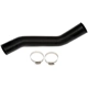 Purchase Top-Quality DORMAN (OE SOLUTIONS) - 573-012 - Fuel Filler Hose pa3