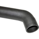 Purchase Top-Quality DORMAN (OE SOLUTIONS) - 573-013 - Fuel Filler Hose pa6