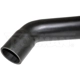 Purchase Top-Quality Fuel Hose by DORMAN (OE SOLUTIONS) - 573-014 pa1