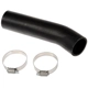 Purchase Top-Quality DORMAN (OE SOLUTIONS) - 573-016 - Fuel Filler Hose pa1