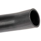 Purchase Top-Quality DORMAN (OE SOLUTIONS) - 573-016 - Fuel Filler Hose pa4