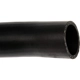 Purchase Top-Quality DORMAN (OE SOLUTIONS) - 573-024 - Fuel Filler Hose pa2