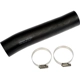 Purchase Top-Quality Fuel Hose by DORMAN (OE SOLUTIONS) - 573-027 pa1