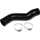 Purchase Top-Quality DORMAN (OE SOLUTIONS) - 573-029 - Fuel Filler Hose pa1