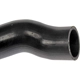 Purchase Top-Quality DORMAN (OE SOLUTIONS) - 573-029 - Fuel Filler Hose pa2