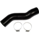 Purchase Top-Quality DORMAN (OE SOLUTIONS) - 573-029 - Fuel Filler Hose pa3