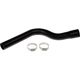 Purchase Top-Quality DORMAN (OE SOLUTIONS) - 573-031 - Fuel Hose pa1