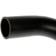 Purchase Top-Quality Fuel Hose by DORMAN (OE SOLUTIONS) - 573-034 pa2