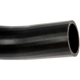 Purchase Top-Quality Fuel Hose by DORMAN (OE SOLUTIONS) - 573-034 pa4