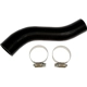 Purchase Top-Quality Fuel Hose by DORMAN (OE SOLUTIONS) - 573-042 pa3