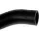 Purchase Top-Quality Fuel Hose by DORMAN (OE SOLUTIONS) - 573-042 pa4