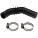 Purchase Top-Quality DORMAN (OE SOLUTIONS) - 573-065 - Fuel Hose pa7