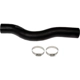 Purchase Top-Quality DORMAN (OE SOLUTIONS) - 573-072 - Fuel Filler Hose pa2